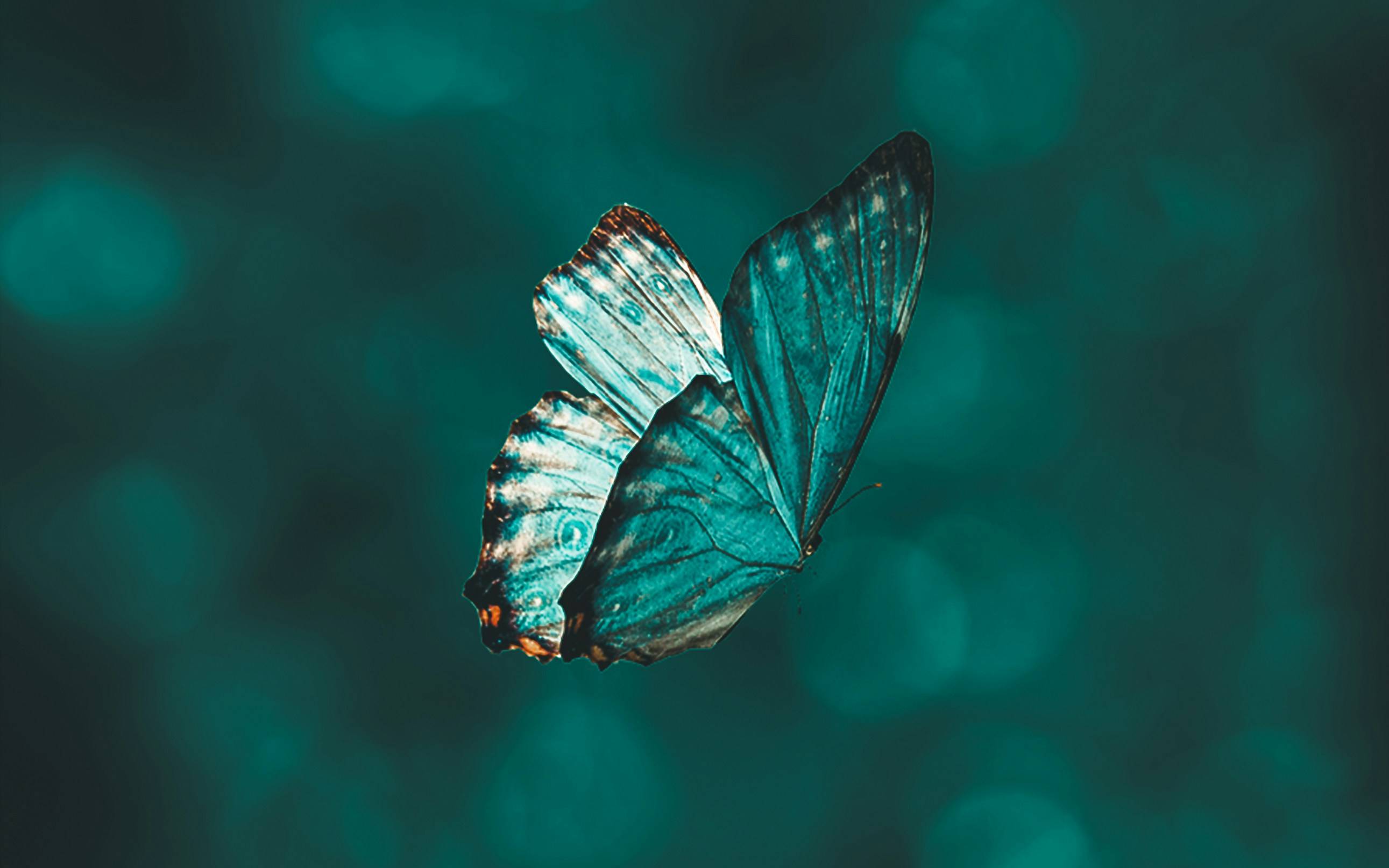 CRS 2.0与离岸规划实操闭门私享会