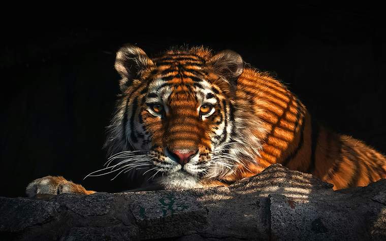 CRS合规实用策略&离岸信托选型优化