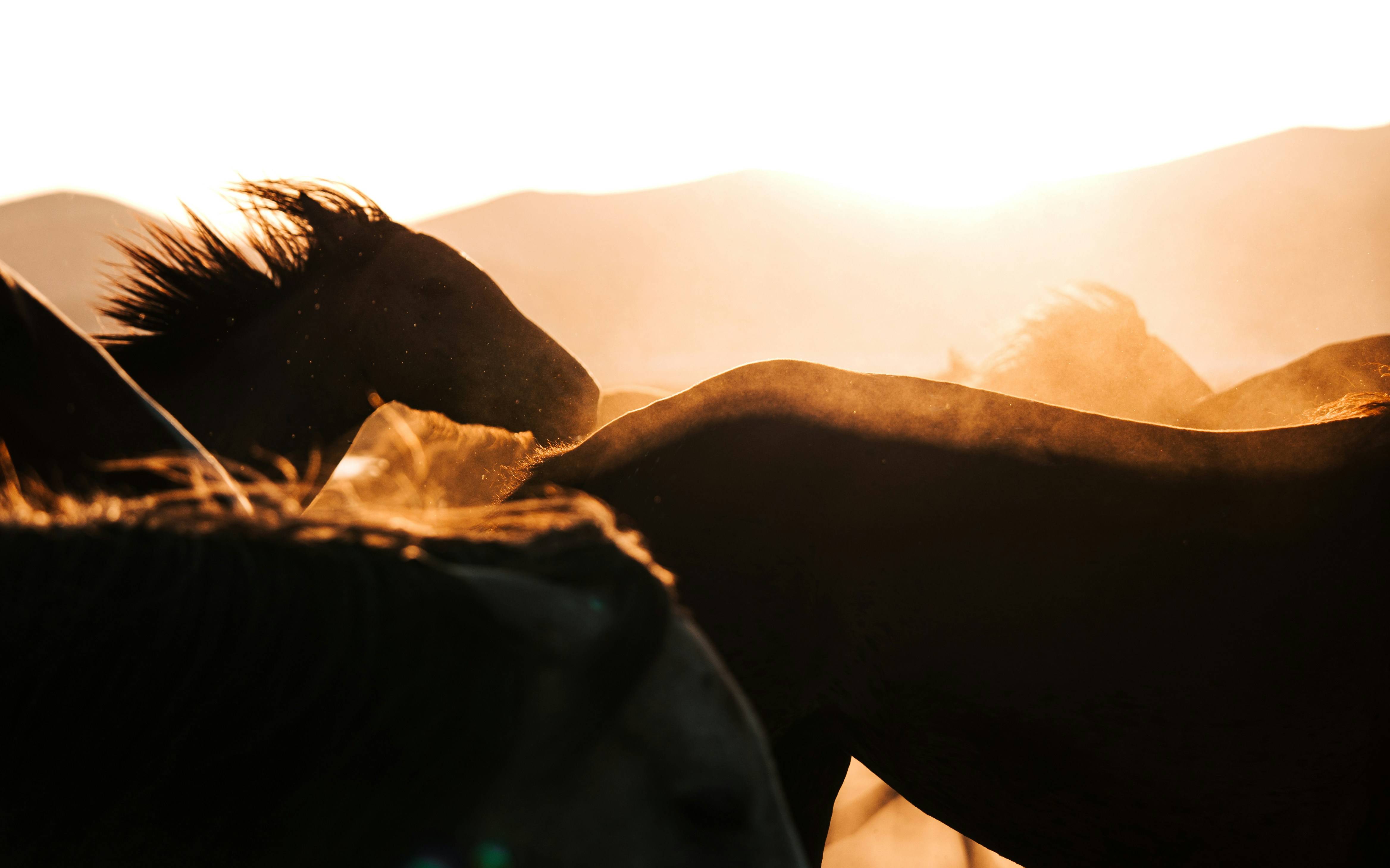 CRS交换的底层原理与美国信托实用选型 【上海 · 闭门】