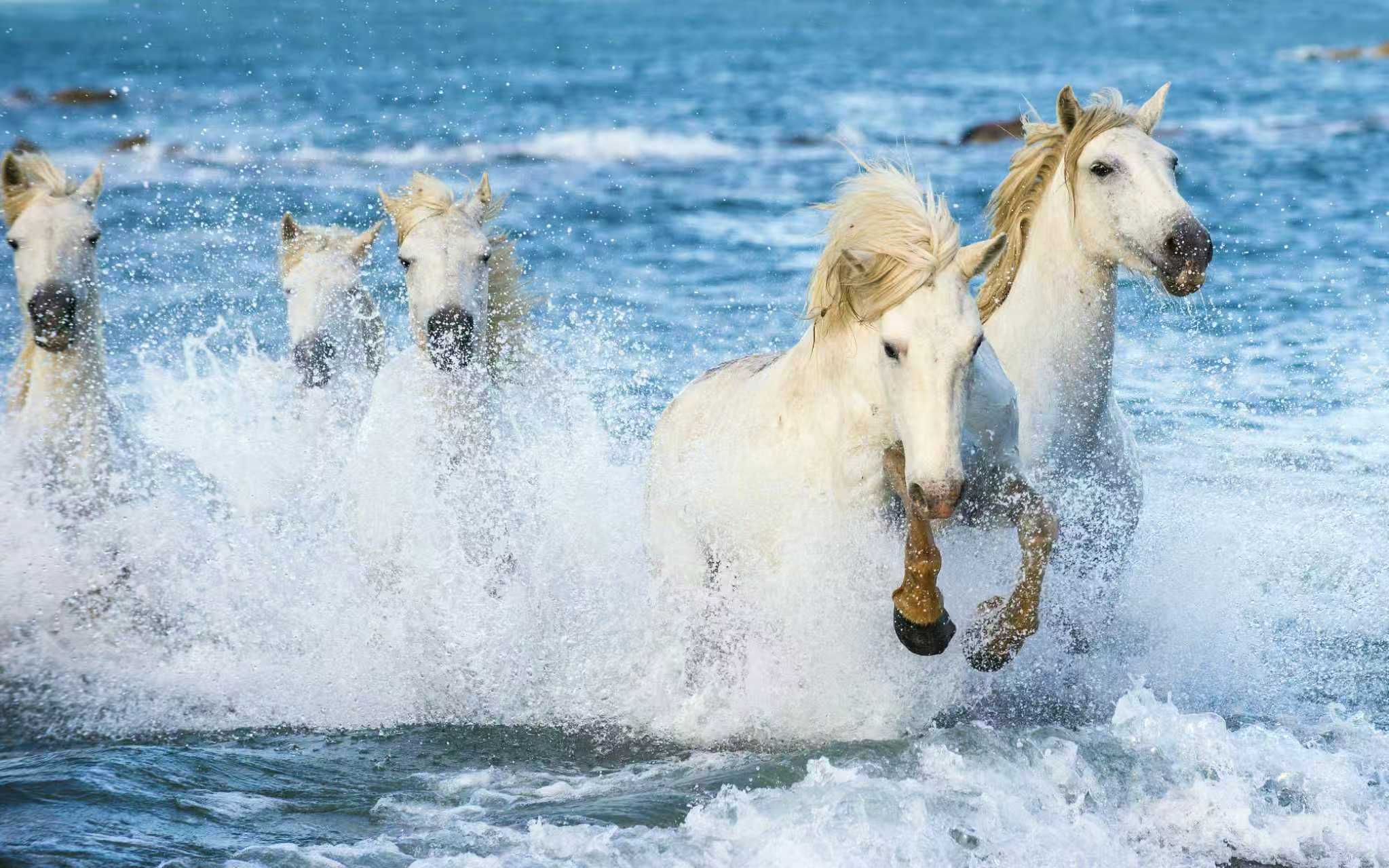 2026CRS应对策略与离岸财富架构私享会