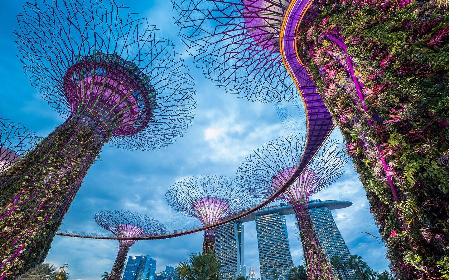  新加坡13R家办与信托结构设计解析